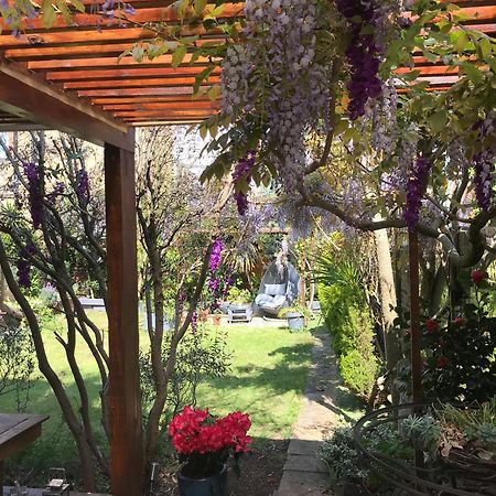 Londonhomegardens Bagian luar foto