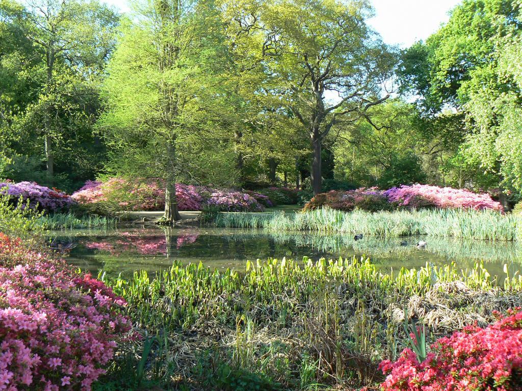 Londonhomegardens Bagian luar foto